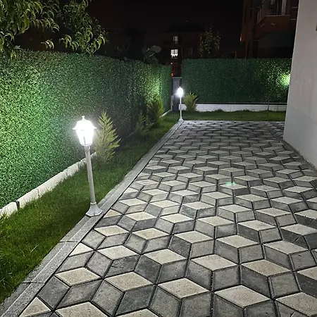 Begonvil Dalaman